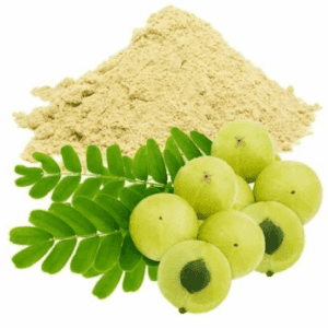 Havilah Dehydrated Amla Powder  30 Kg