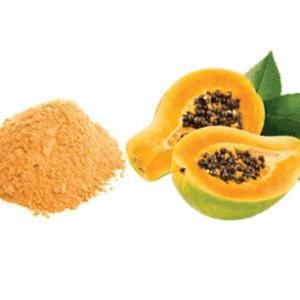 Havilah Dehydrated Papaya Powder  30 Kg